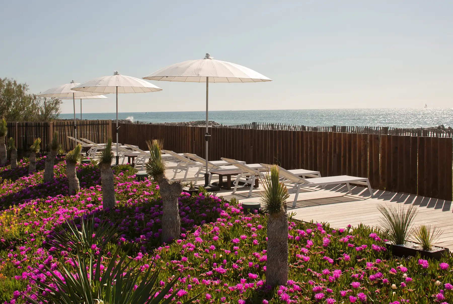 Production de contenus sur site pour trois mois de diffusion